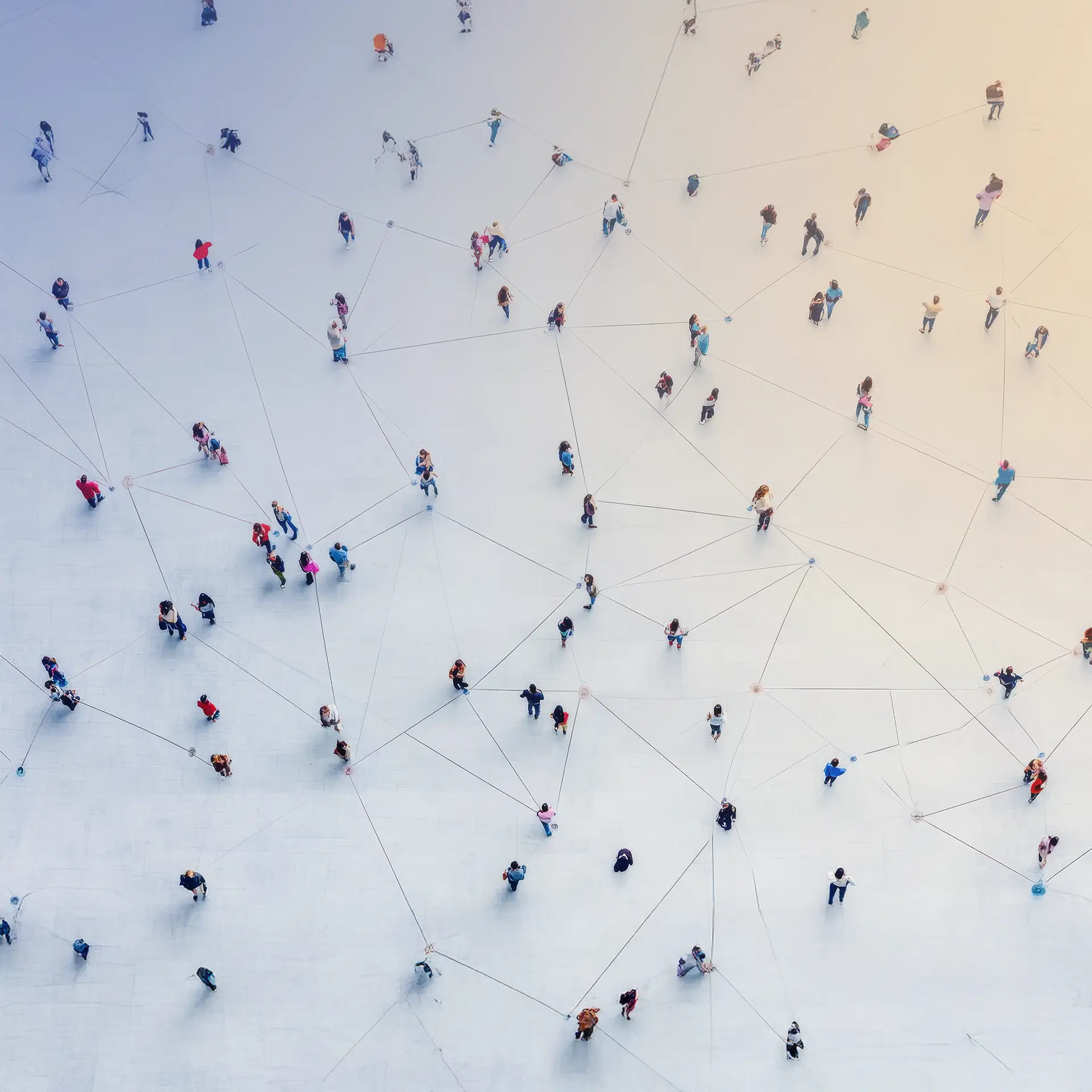 Professionelles Management für Wissenschaft und Organisation Netzwerk, Isabell Zieger - Business Consulting & Coaching, Wissenschaftsmanagement, Hochschulmanagement